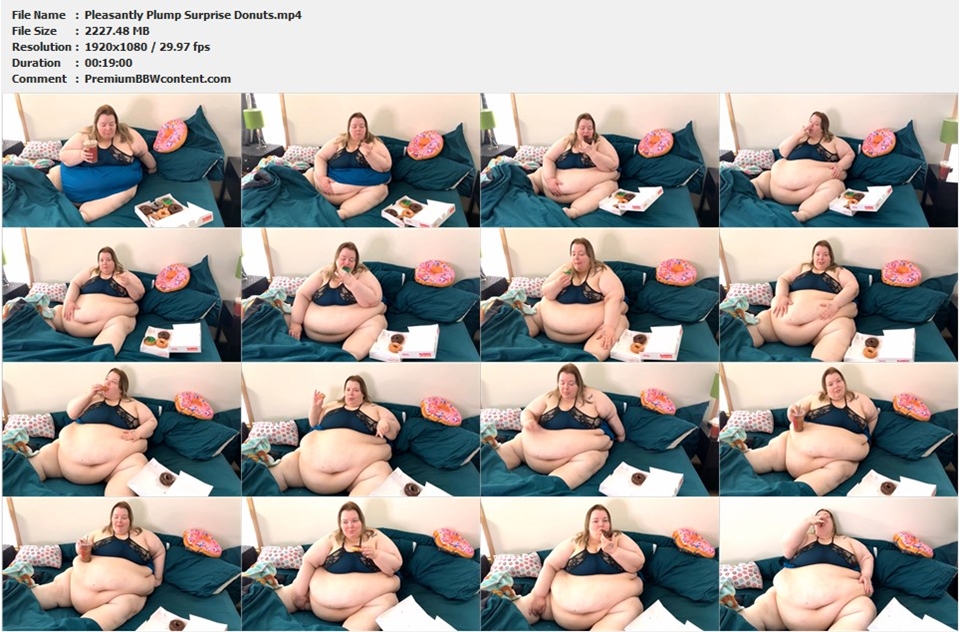 Pleasantly Plump Surprise Donuts thumbnails