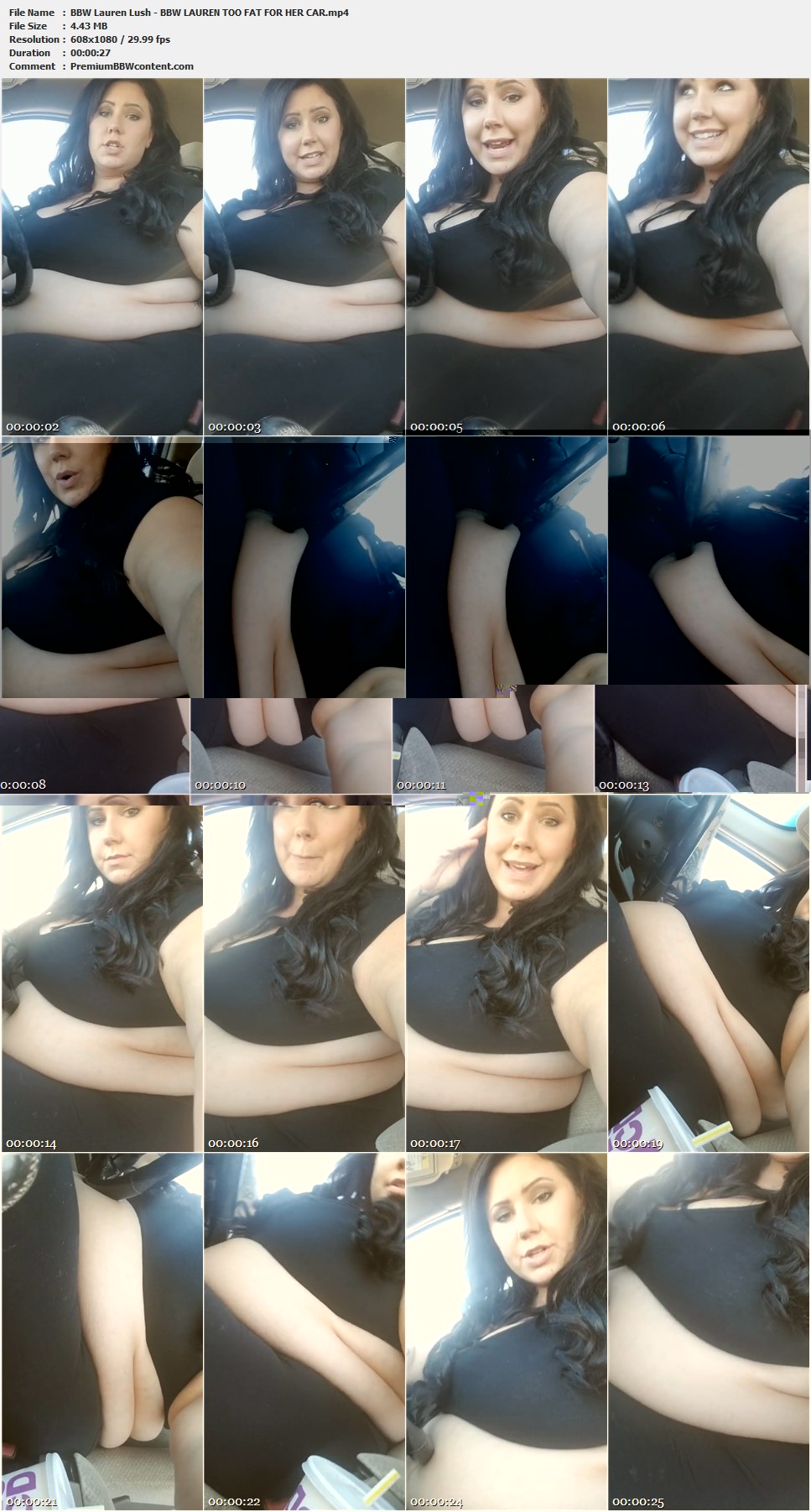 BBW Lauren Lush - BBW LAUREN TOO FAT FOR HER CAR thumbnails
