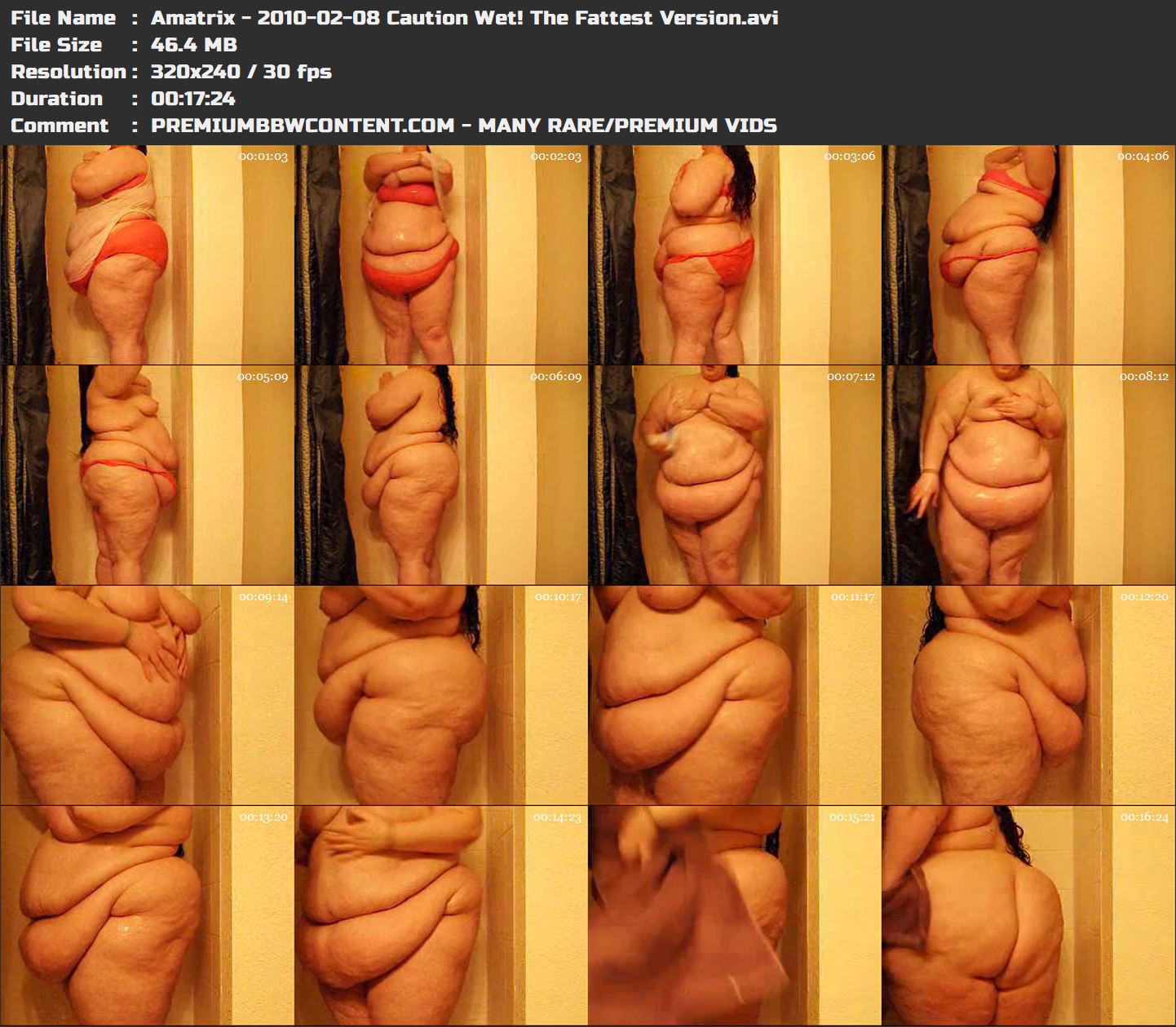 Amatrix - 2010-02-08 Caution Wet! The Fattest Version thumbnails