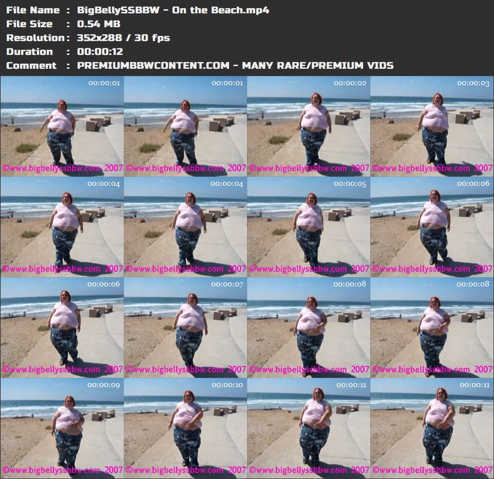 BigBellySSBBW - On the Beach thumbnails