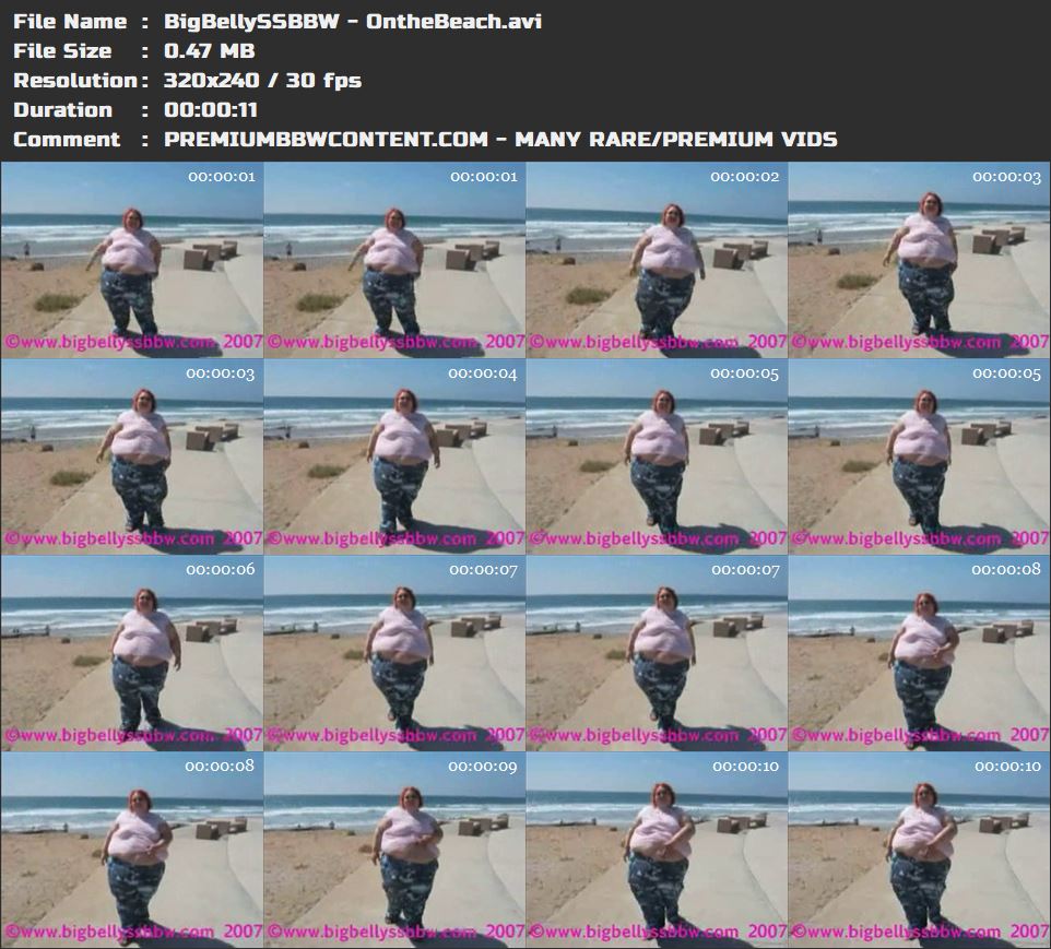 BigBellySSBBW - OntheBeach thumbnails