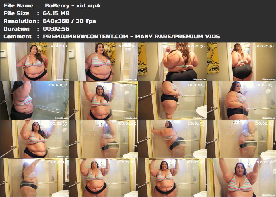  BoBerry - vid thumbnails