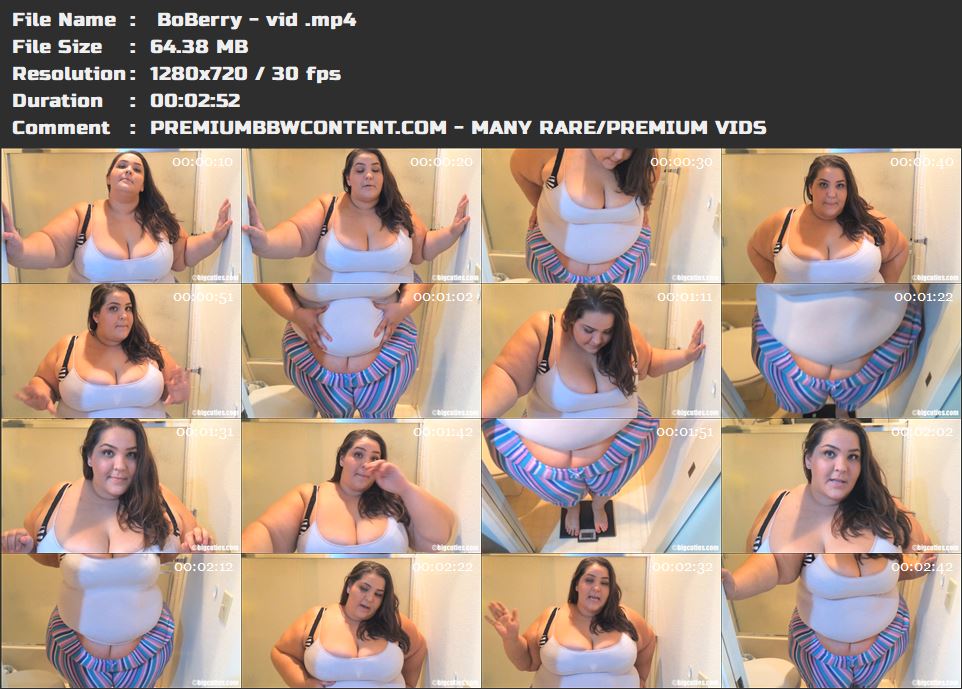  BoBerry - vid  thumbnails