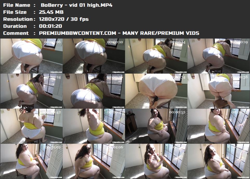  BoBerry - vid 01 high thumbnails