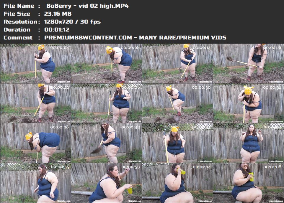  BoBerry - vid 02 high thumbnails