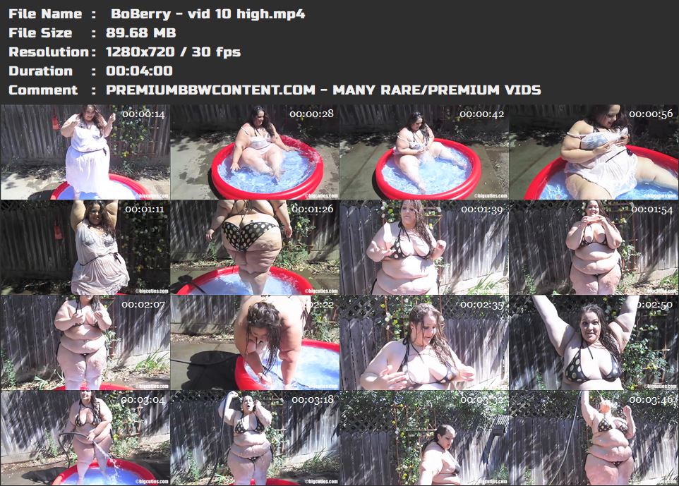  BoBerry - vid 10 high thumbnails