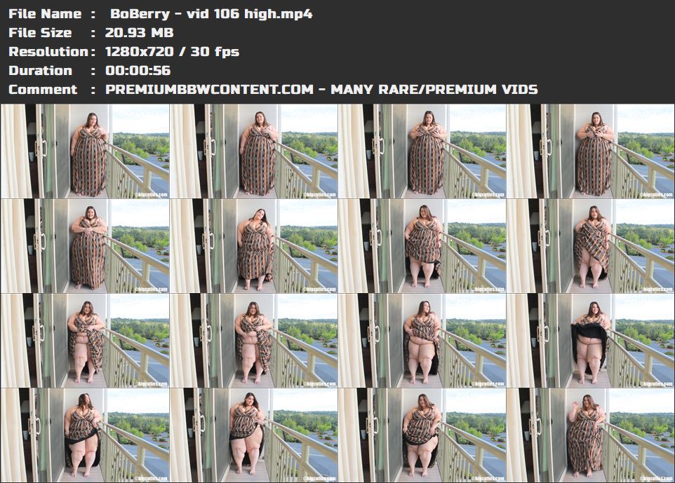  BoBerry - vid 106 high thumbnails