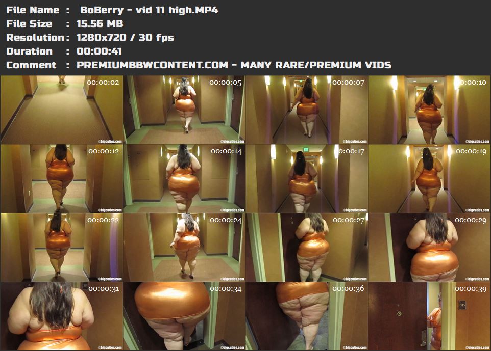  BoBerry - vid 11 high thumbnails