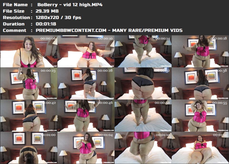  BoBerry - vid 12 high thumbnails