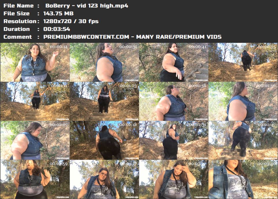  BoBerry - vid 123 high thumbnails