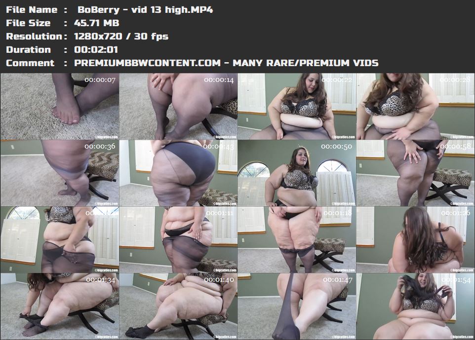  BoBerry - vid 13 high thumbnails
