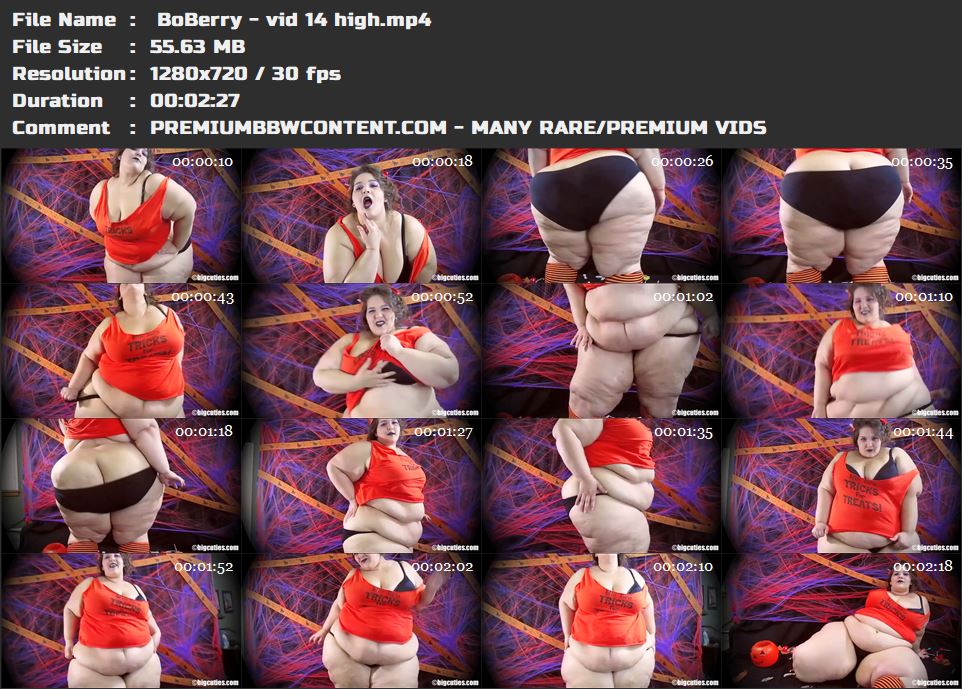  BoBerry - vid 14 high thumbnails