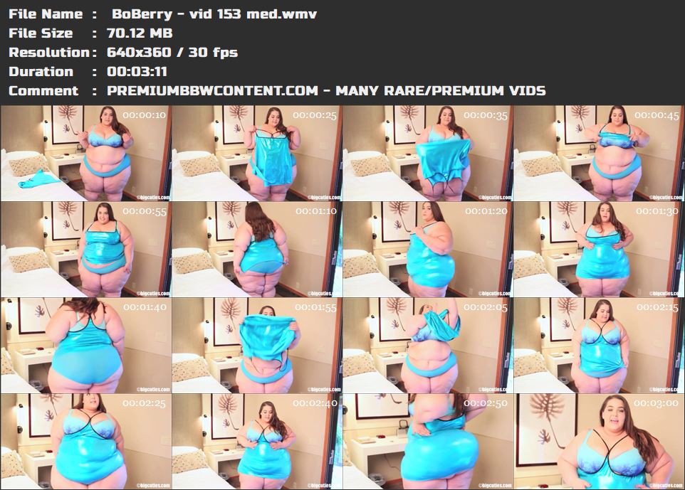  BoBerry - vid 153 med thumbnails