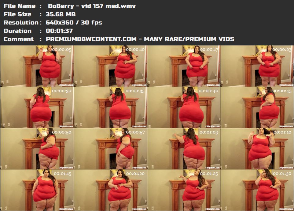  BoBerry - vid 157 med thumbnails