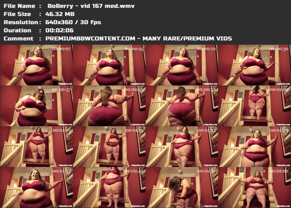  BoBerry - vid 167 med thumbnails