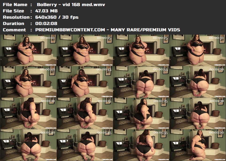  BoBerry - vid 168 med thumbnails