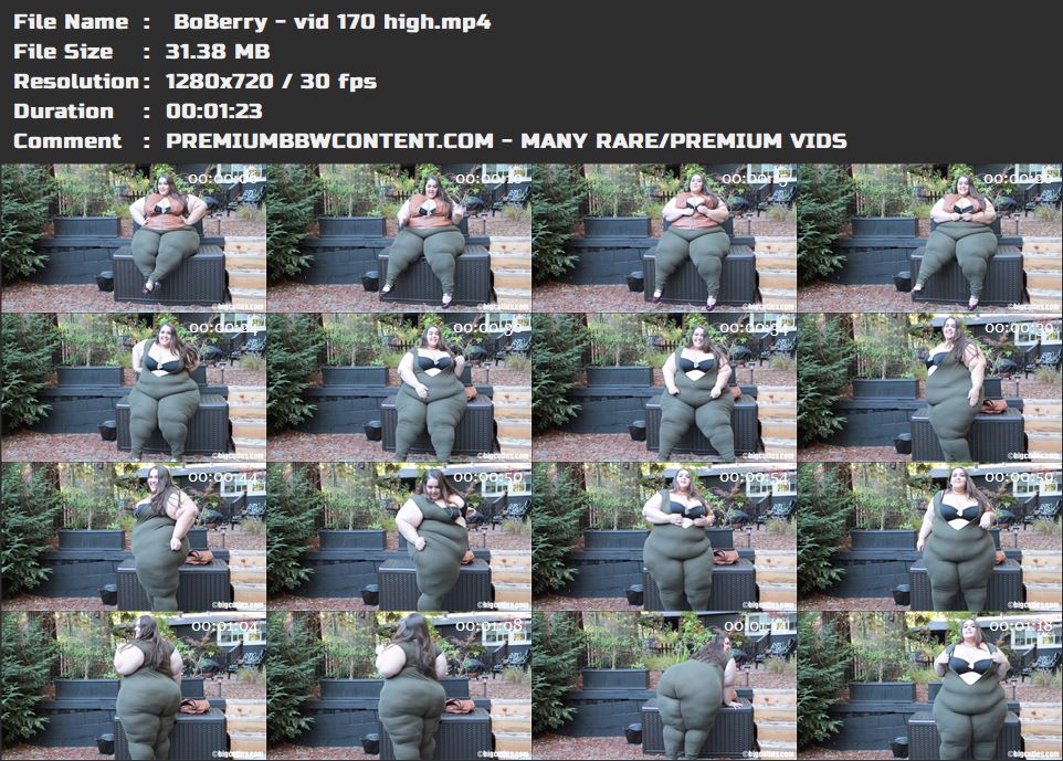  BoBerry - vid 170 high thumbnails