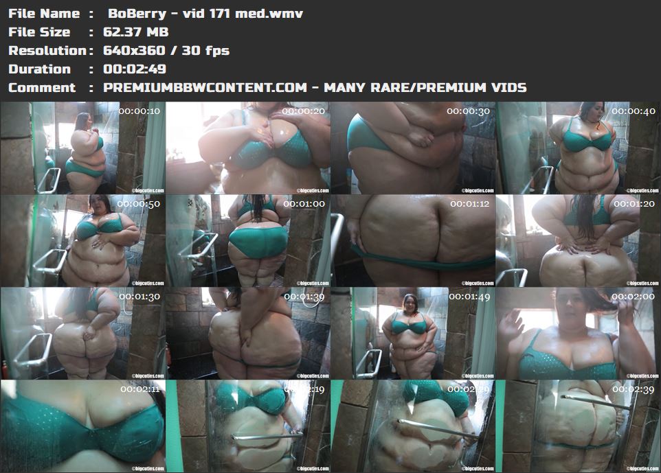  BoBerry - vid 171 med thumbnails
