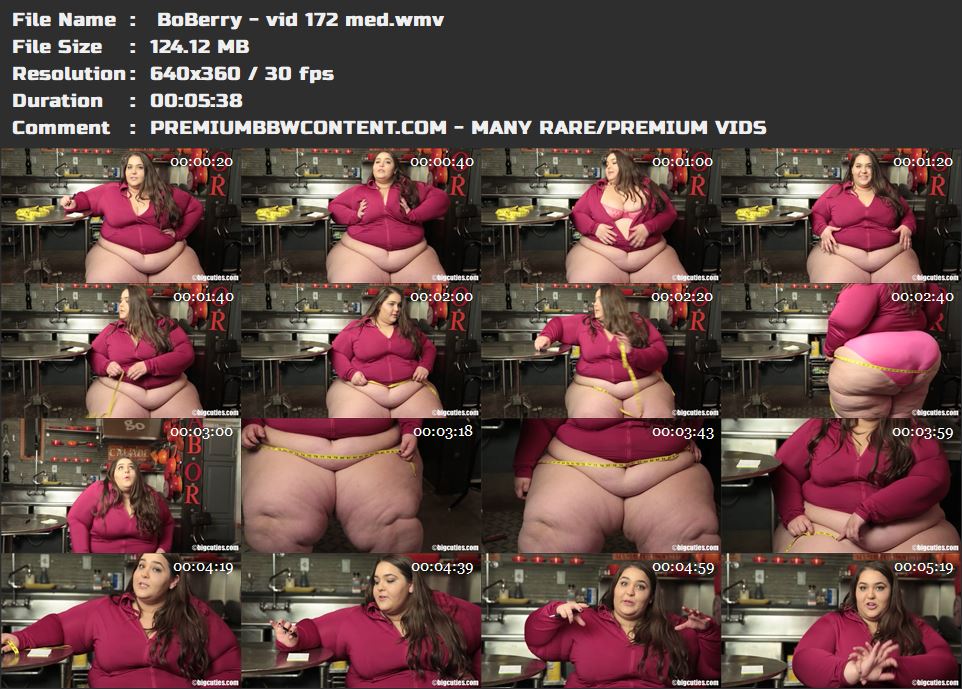  BoBerry - vid 172 med thumbnails