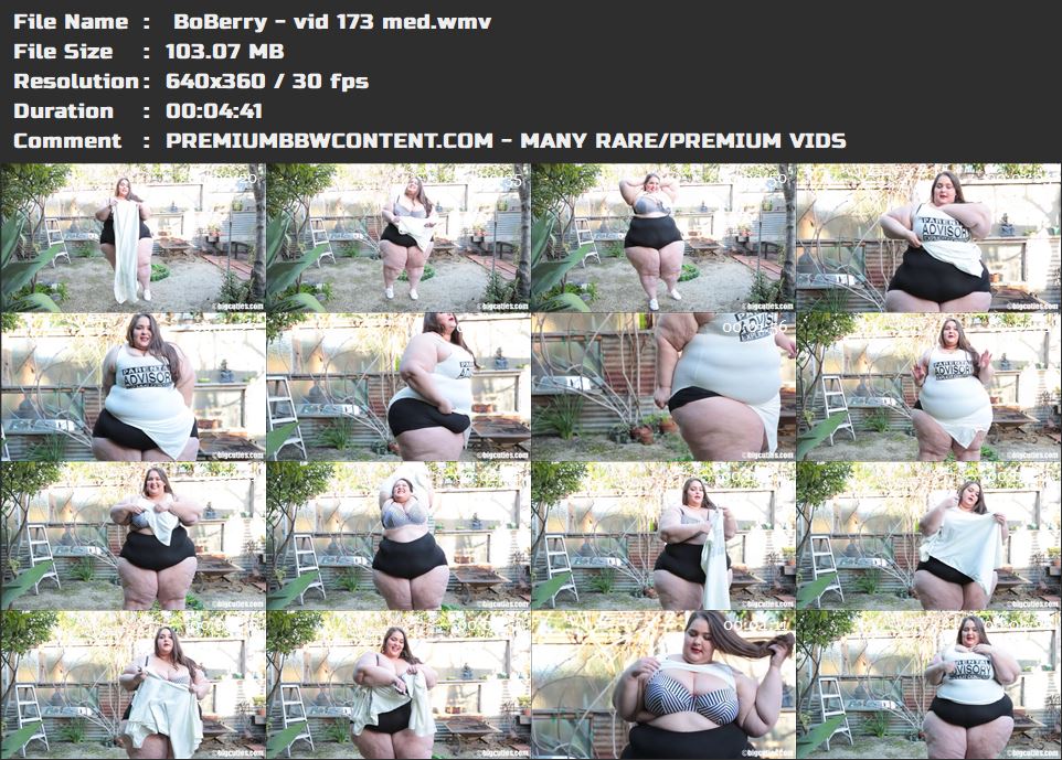  BoBerry - vid 173 med thumbnails