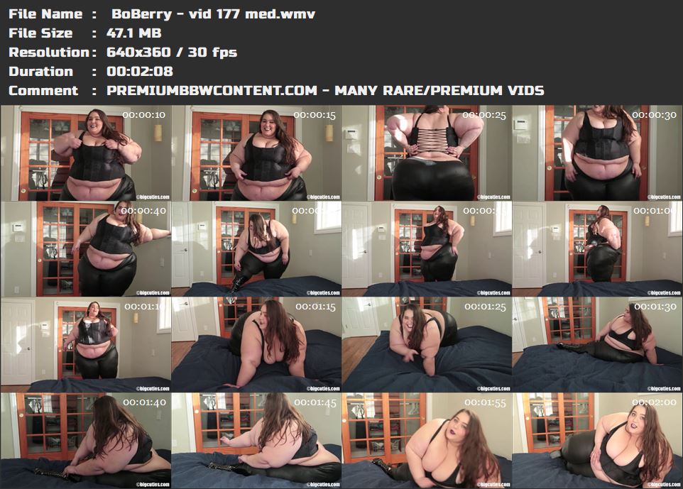  BoBerry - vid 177 med thumbnails