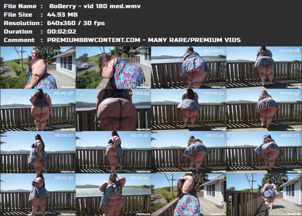  BoBerry - vid 180 med thumbnails