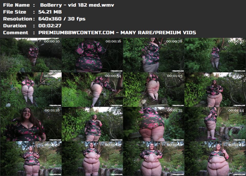  BoBerry - vid 182 med thumbnails