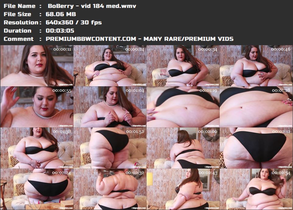  BoBerry - vid 184 med thumbnails