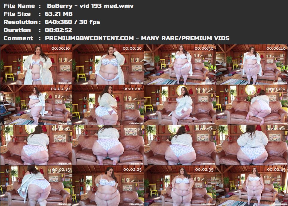  BoBerry - vid 193 med thumbnails