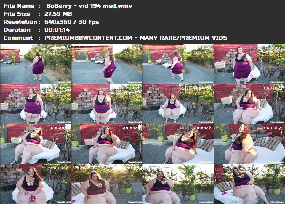  BoBerry - vid 194 med thumbnails