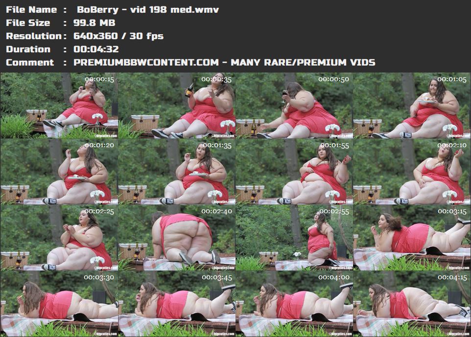  BoBerry - vid 198 med thumbnails