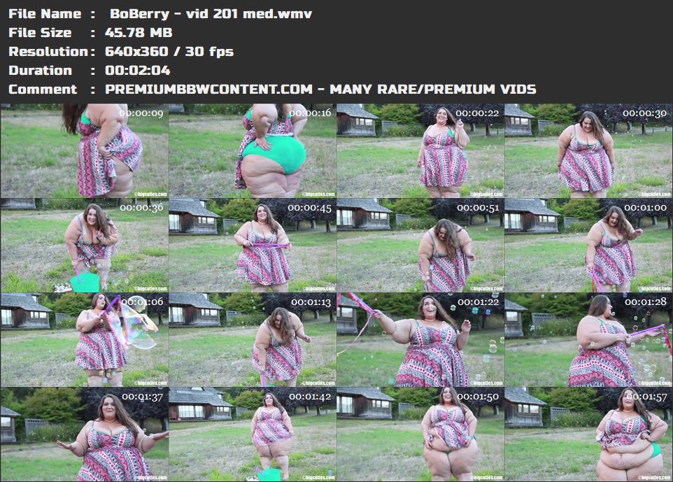  BoBerry - vid 201 med thumbnails