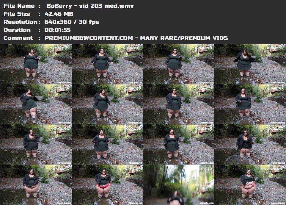  BoBerry - vid 203 med thumbnails