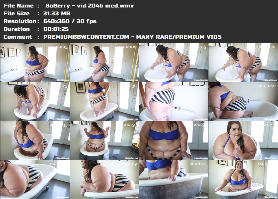  BoBerry - vid 204b med thumbnails