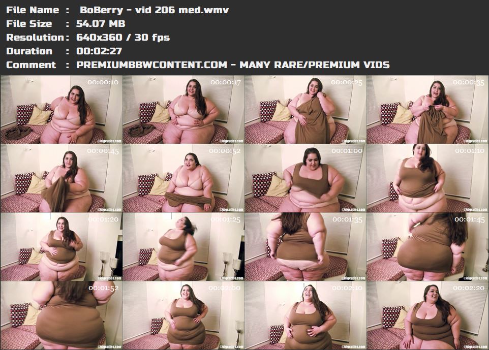  BoBerry - vid 206 med thumbnails