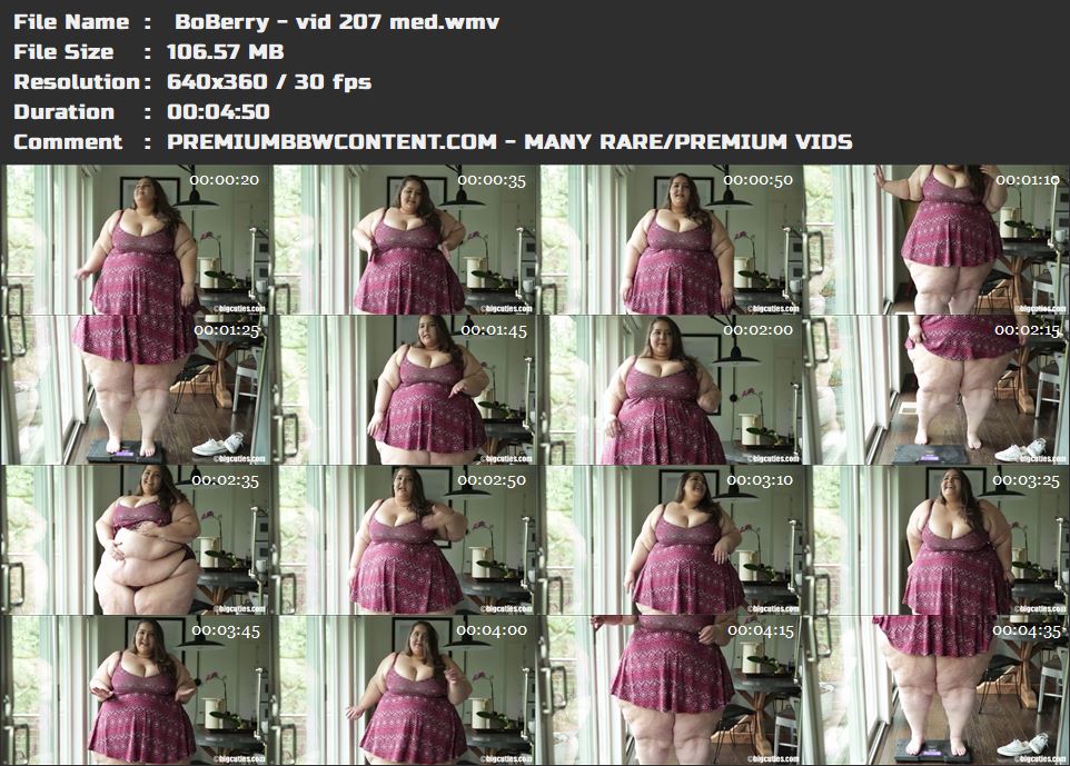  BoBerry - vid 207 med thumbnails
