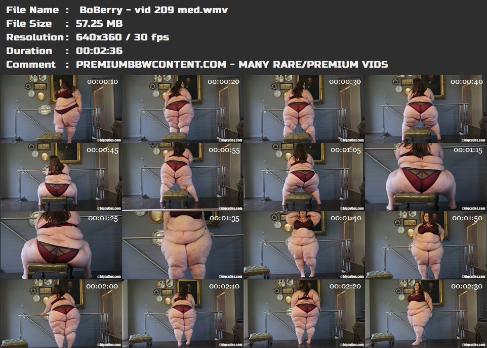  BoBerry - vid 209 med thumbnails