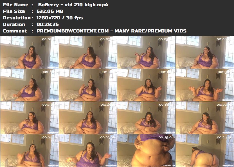 BoBerry - vid 210 high thumbnails