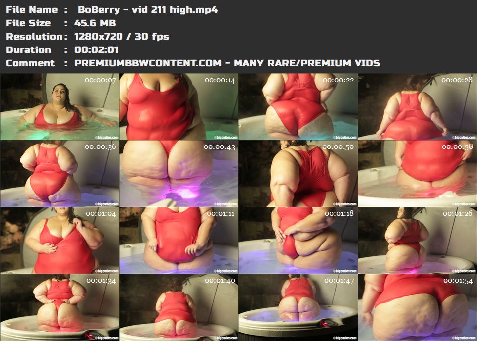  BoBerry - vid 211 high thumbnails