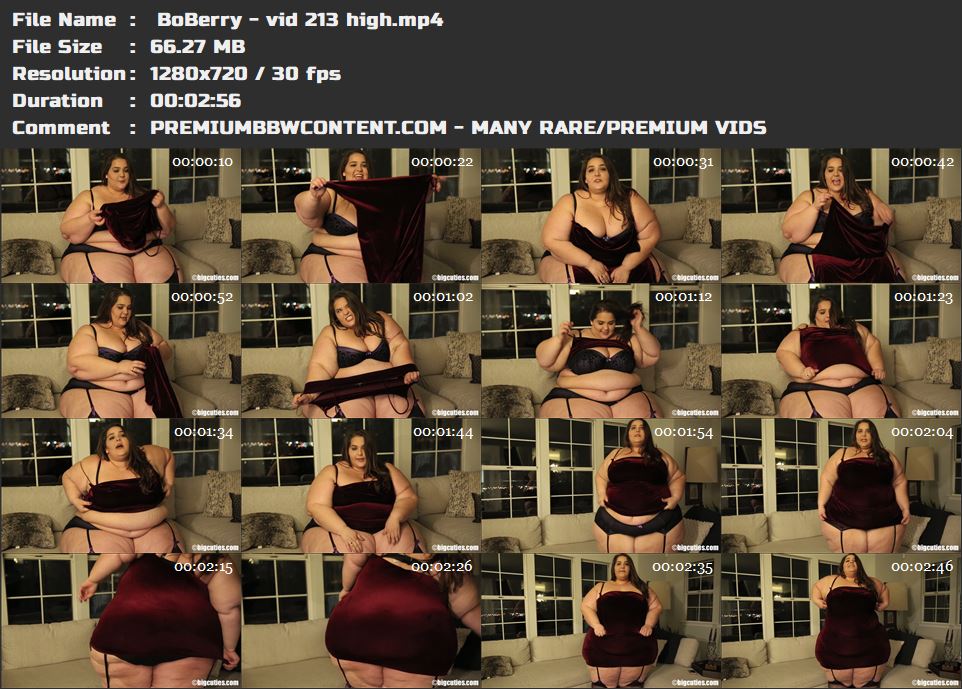  BoBerry - vid 213 high thumbnails