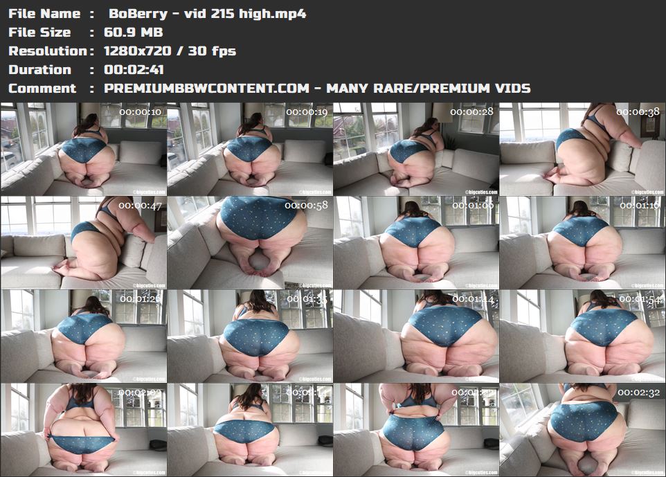  BoBerry - vid 215 high thumbnails