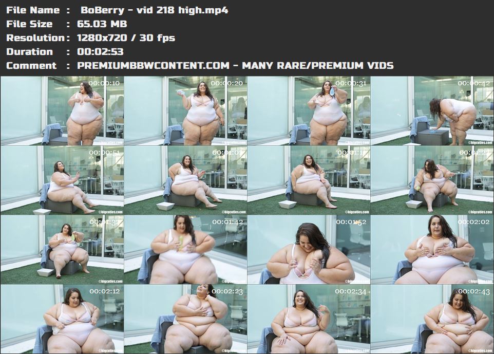  BoBerry - vid 218 high thumbnails