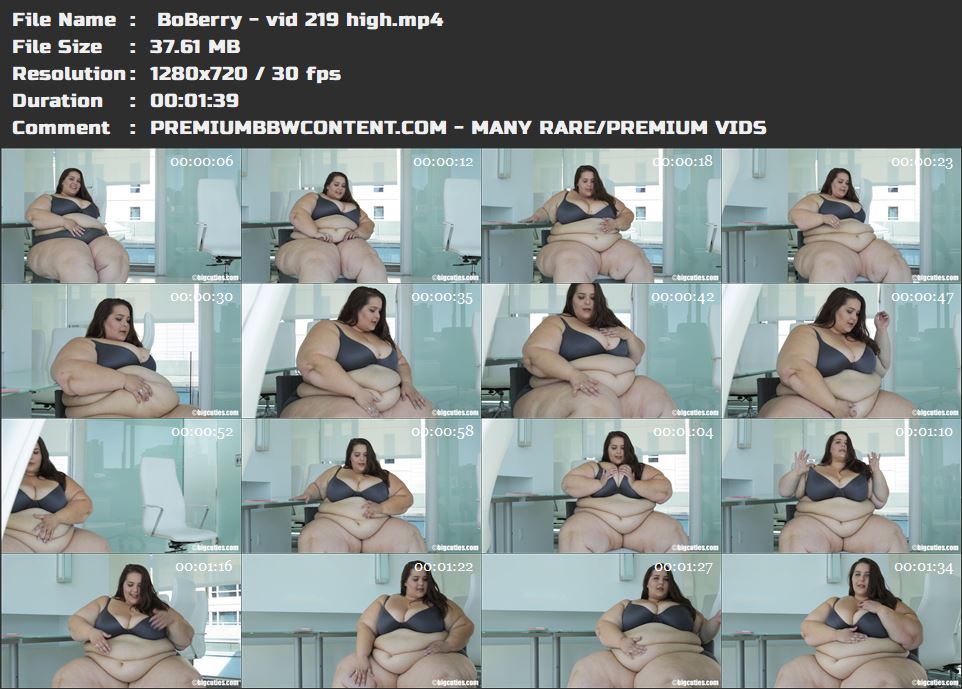  BoBerry - vid 219 high thumbnails