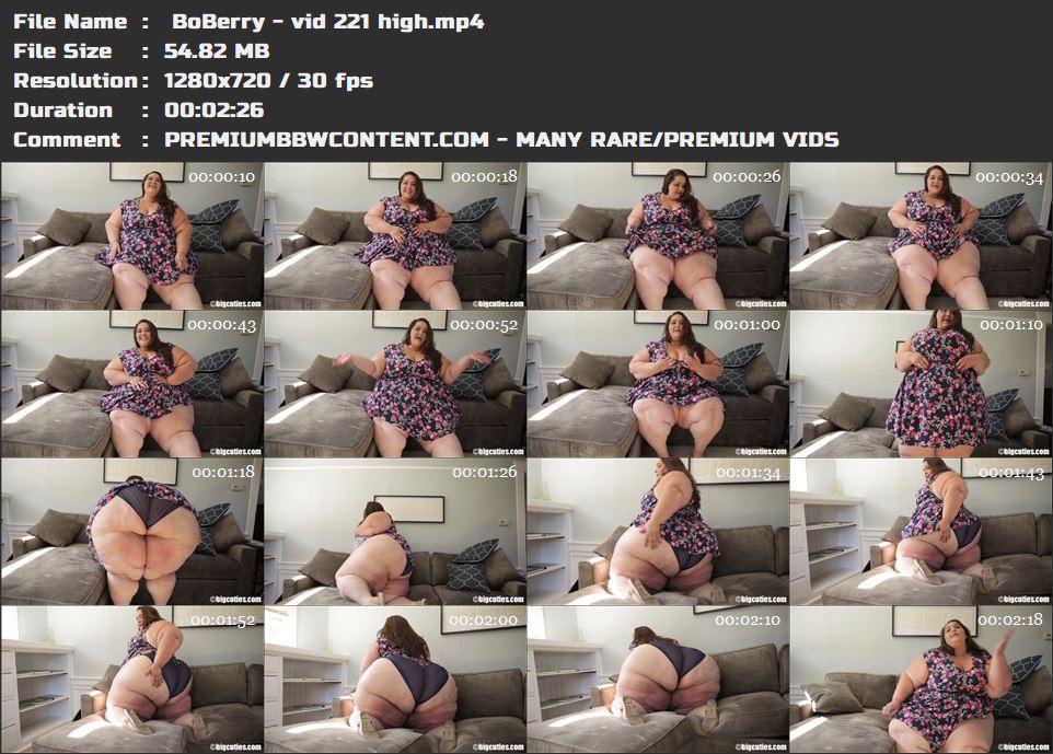  BoBerry - vid 221 high thumbnails