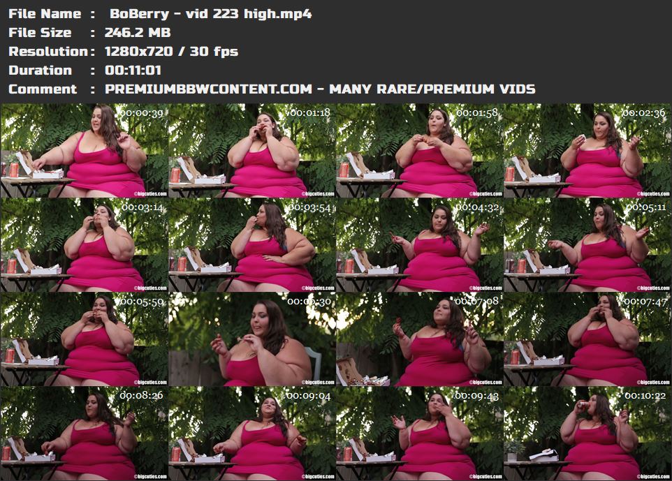  BoBerry - vid 223 high thumbnails