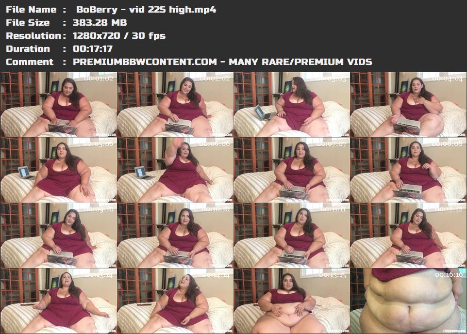 BoBerry - vid 225 high thumbnails