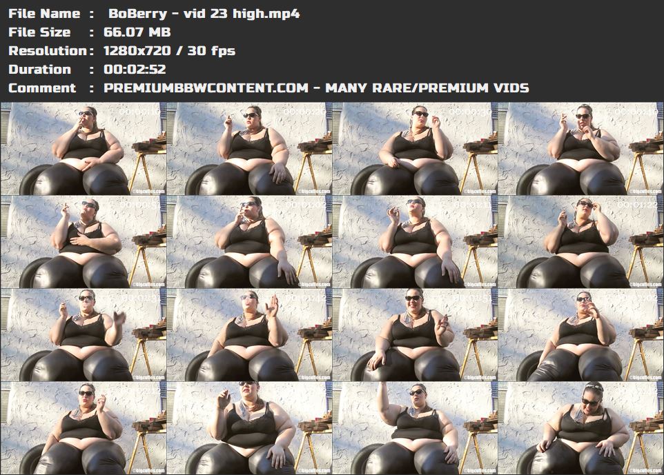  BoBerry - vid 23 high thumbnails