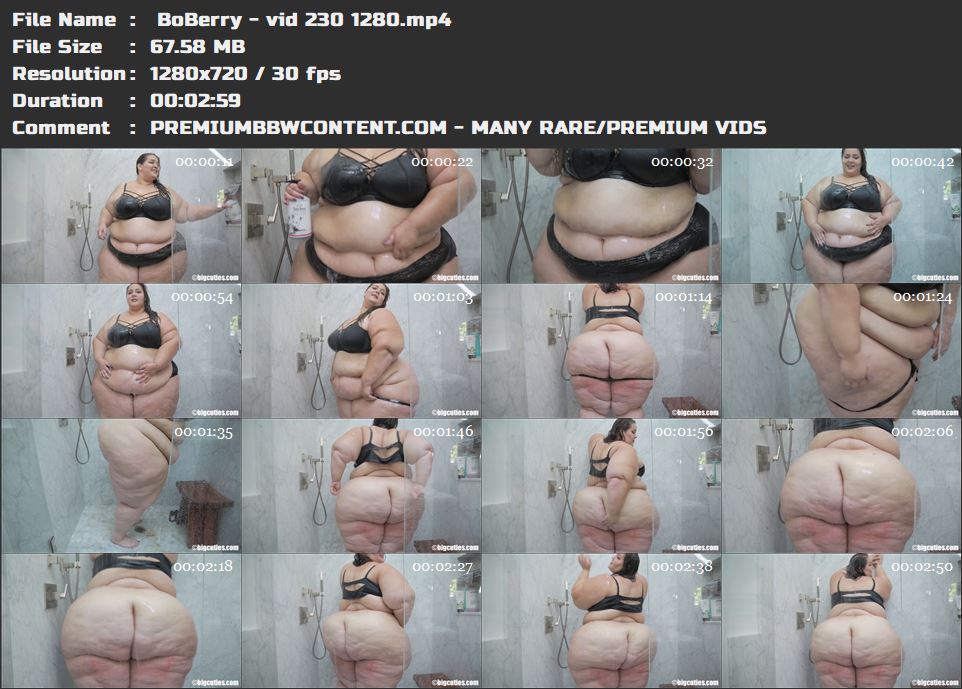  BoBerry - vid 230 1280 thumbnails