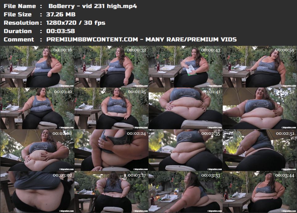  BoBerry - vid 231 high thumbnails