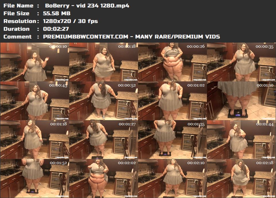  BoBerry - vid 234 1280 thumbnails